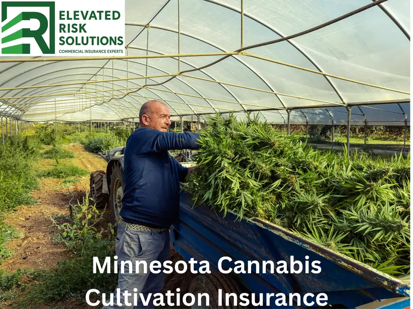 Minnesota Cannabis Cultivation Insurance