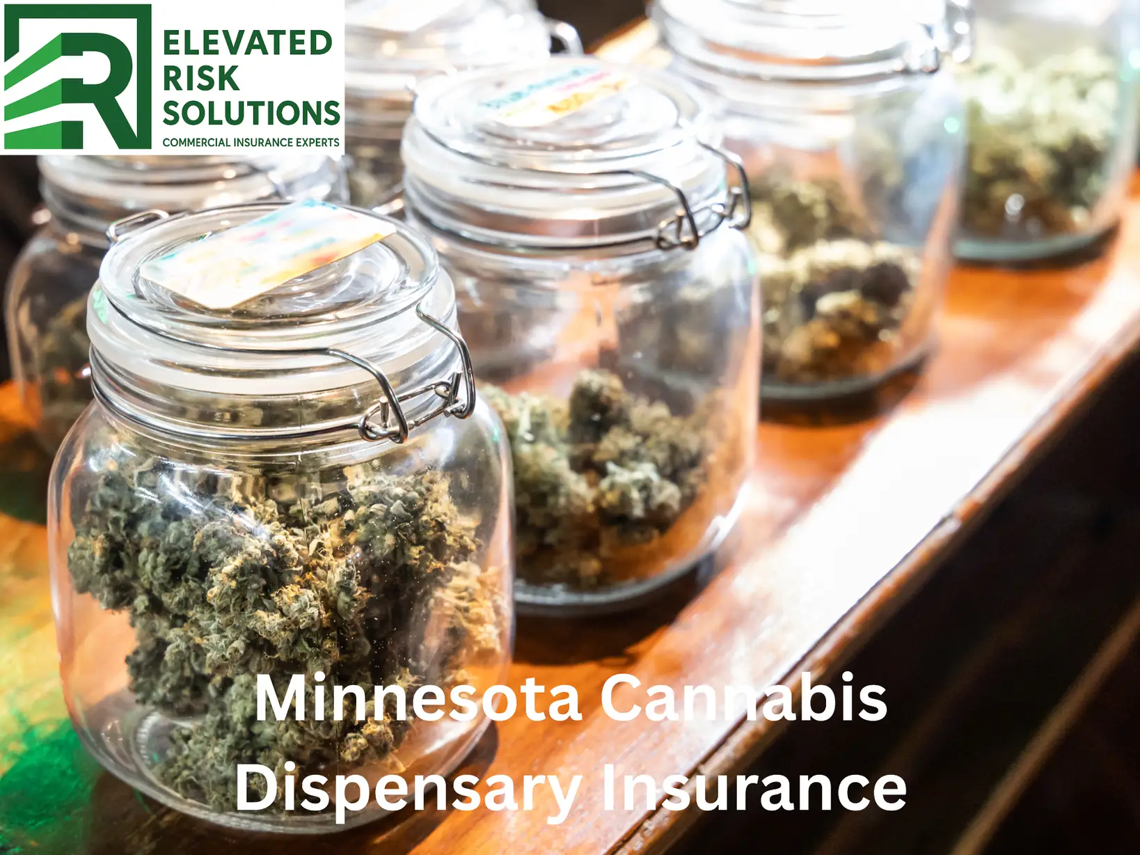 Cannabis Dispensary Insurance